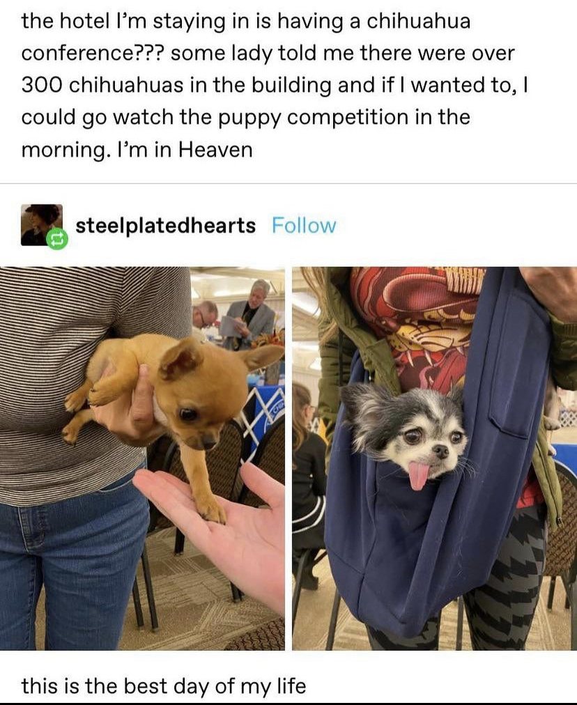 WholesomeMeme's tweet photo. https://t.co/pkjKOUVgNo