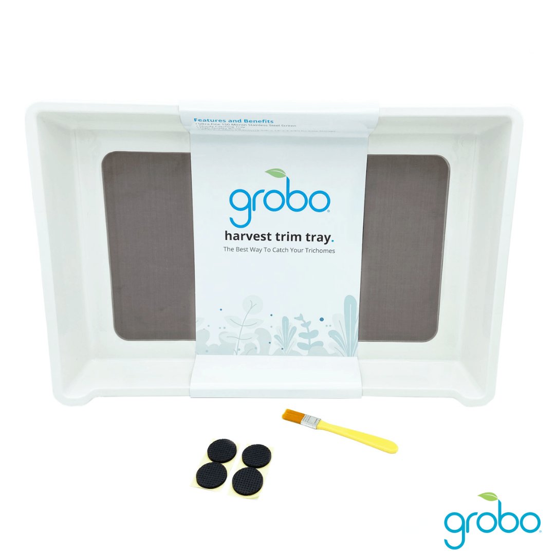 The Grobo Trim Tray is perfect for trimming up your harvest ✂️ 

Equipped with non-stick feet, a large surface area and 150 micron stainless steel screen, this trim tray will make trimming your buds easier than ever.  Check it out today!  🤩 

 #trimtray #harvesttrimtray