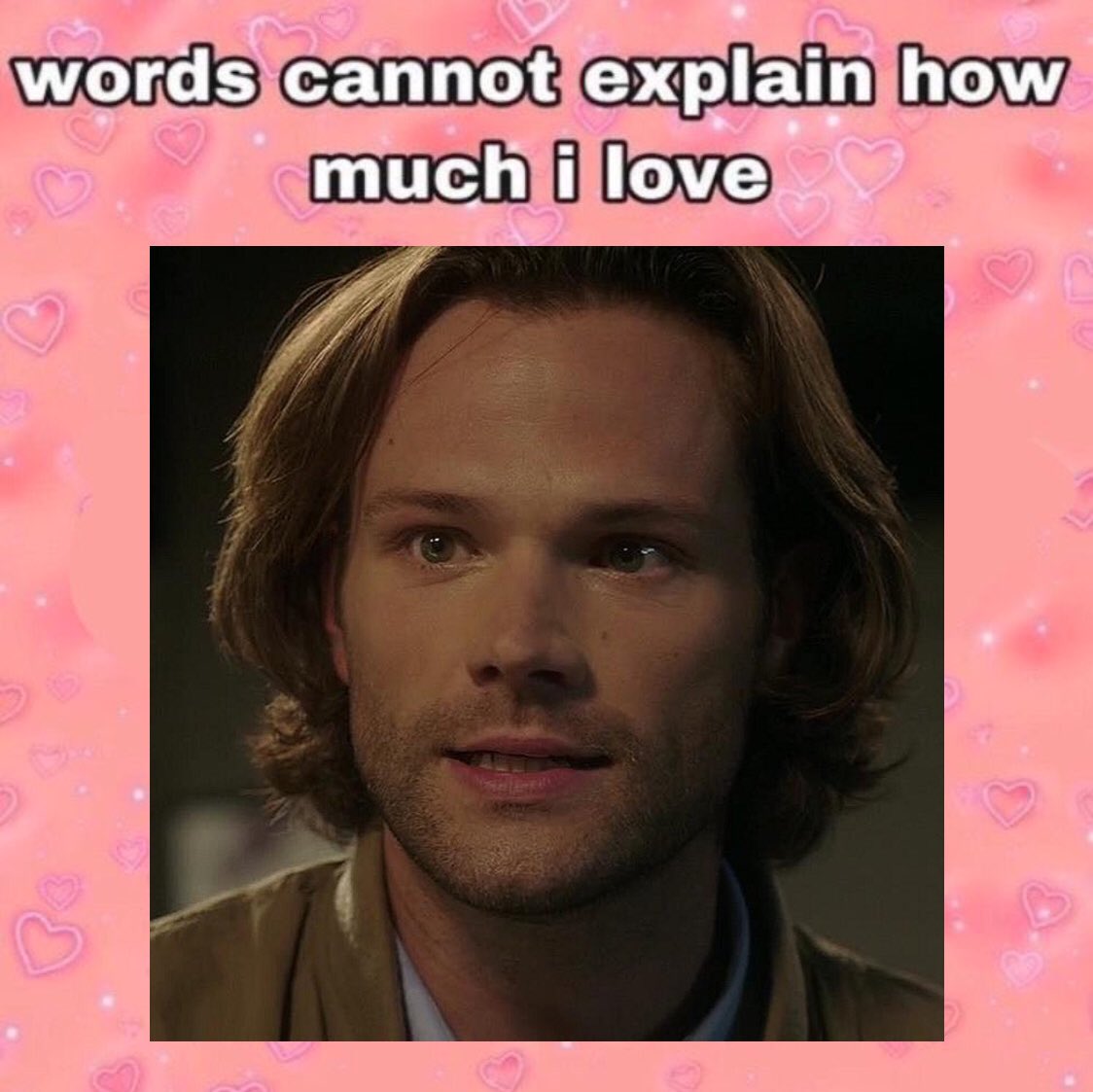 cute sam memes 💌 (@cutesamwin) on Twitter photo 