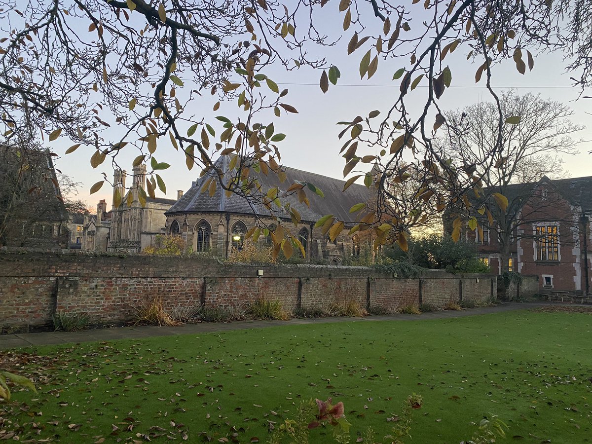 Lucy Tomlinson tweet media