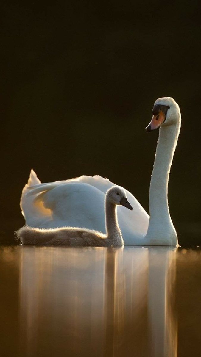 .....   JOHN PAUL YOUNG   .....
             Love is in the Air
Canciones que son Recuerdos
youtu.be/NNC0kIzM1Fo