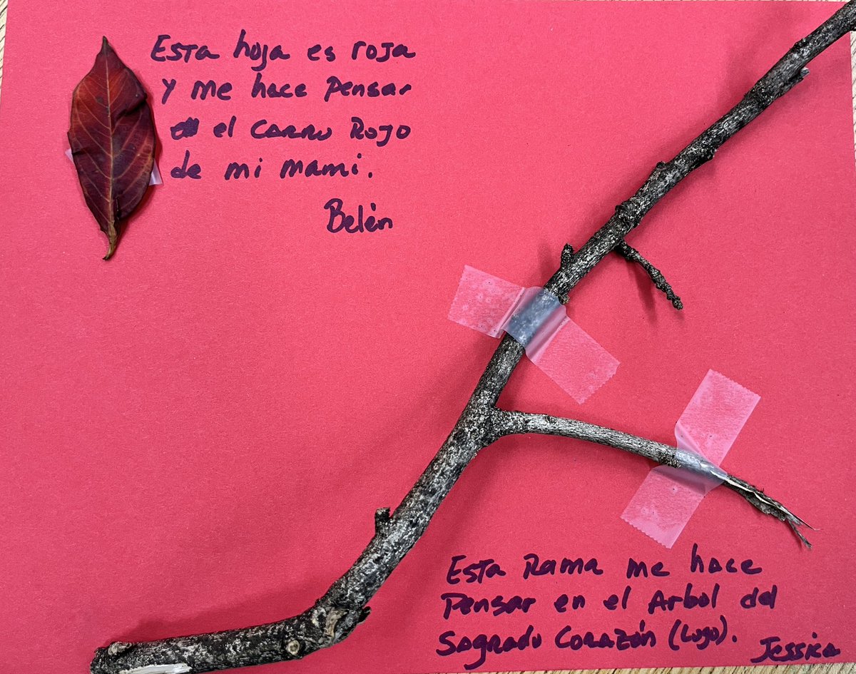 PatriciaMGN's tweet photo. Walking and playing around the playground. What do you see-think-care and feel? Mezclando rutinas de pensamientos adaptadas para prek3. Gracias por la provocación ⁦⁦@AnawlTeach⁩ #CCAThink https://t.co/nuG8e511H9