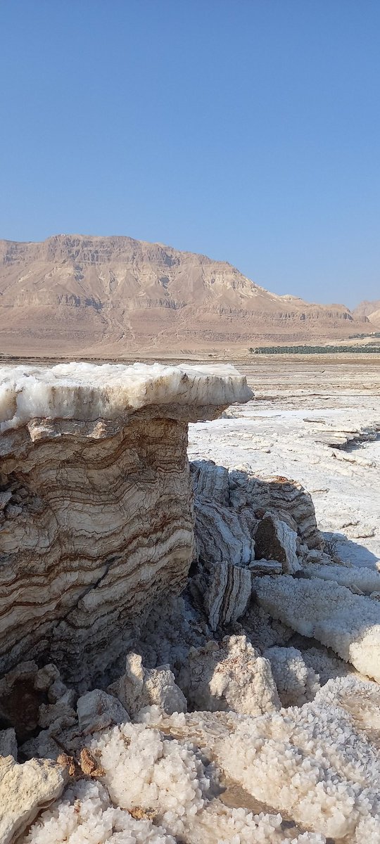 BulianFrancesca's tweet photo. Salt deposits in the Dead Sea that accumulate in annual cuplets made of a white detrital (winter) and a darker bottom growing (summer) halite layer. #saltgiant https://t.co/b3eAdYedbZ
