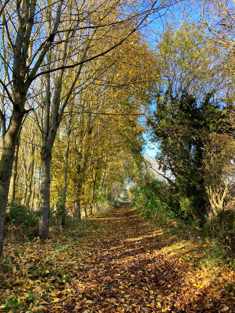 Jenny Shelton tweet media