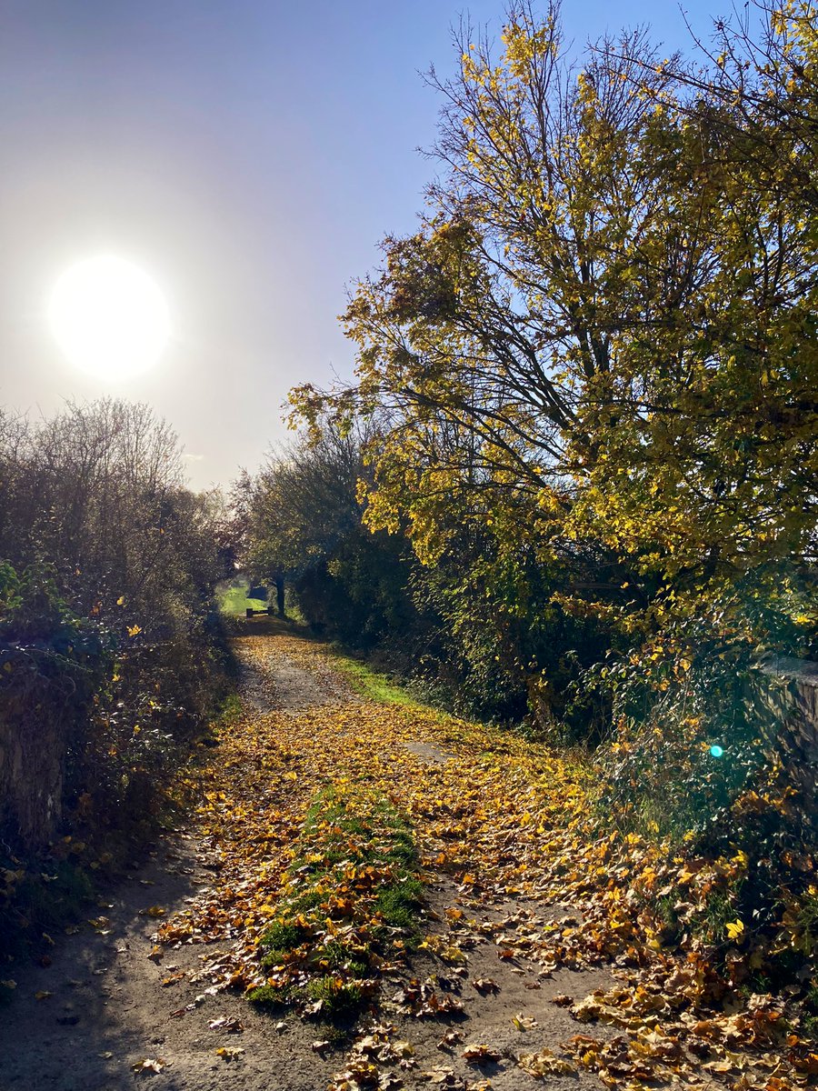 Jenny Shelton tweet media