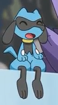 Daily_AuraDogs's tweet photo. https://t.co/sUb7HOBPmG