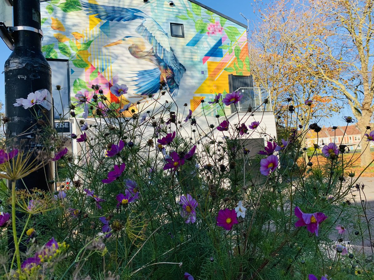 Jane Mudd💛 tweet media