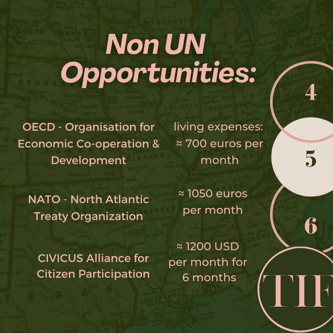 TheInternsFdn's tweet photo. Finding paid internships within international organizations can be a struggle, but there are a few ways you can add to your resume without sacrificing a paycheck. Check out these specific opportunities and more at https://t.co/E34UufMn0h ! https://t.co/ZZjKTB6Zai
