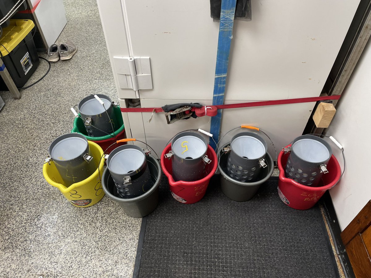 yniimi808's tweet photo. 4 MOCNESS tows done ✅ at BATS station and Hydrostation. Let’s see what kind of critters we get from these tows! @BatsBermuda @BIOSstation #Zooplankton https://t.co/wbLTXHcyCG