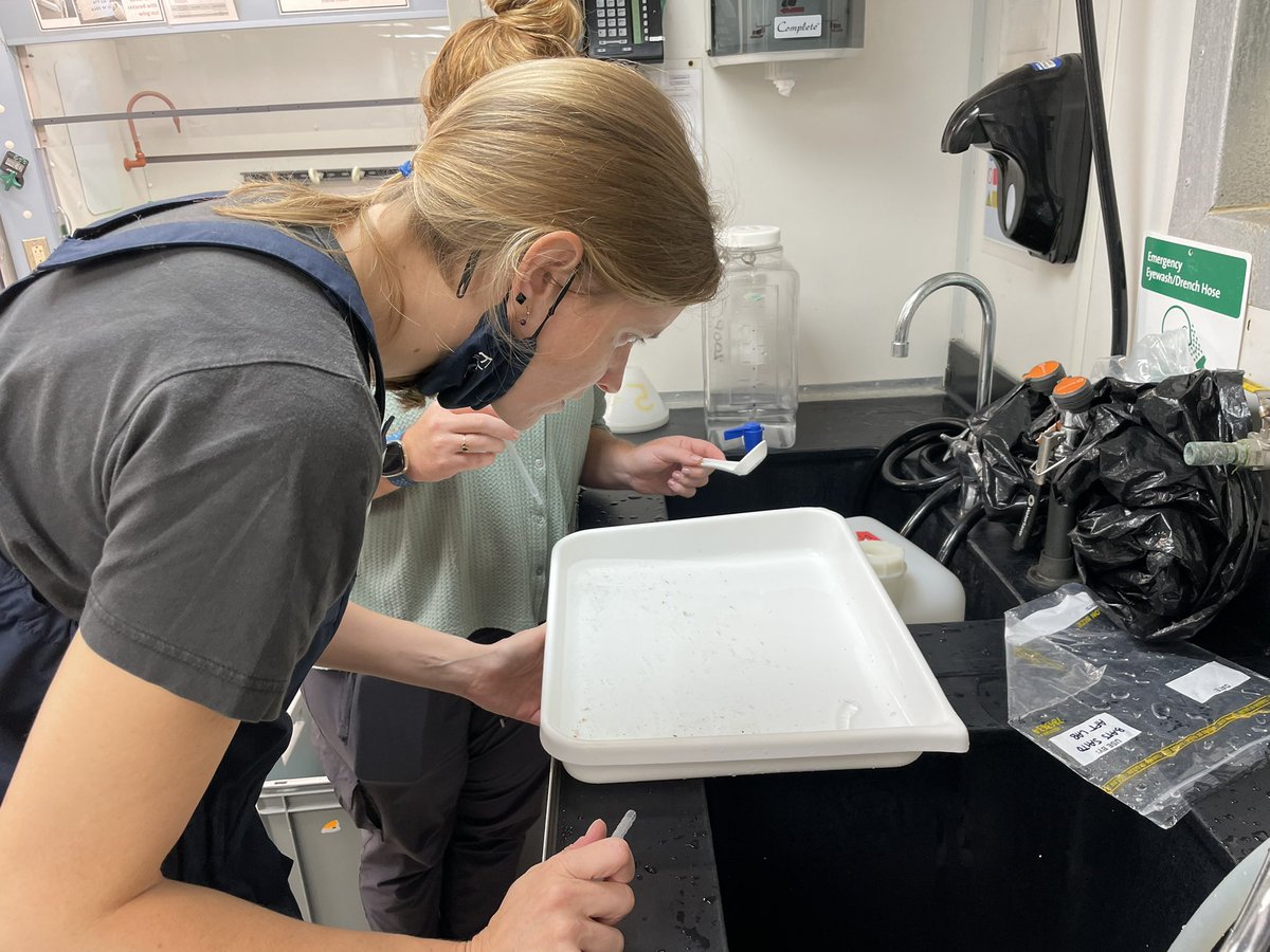 Yuuki Niimi (@yniimi808) on Twitter photo 4 MOCNESS tows done ✅ at BATS station and Hydrostation. Let’s see what kind of critters we get from these tows! <a href="/BatsBermuda/">Bermuda Atlantic Time-Series Study (BATS 🦇)</a> <a href="/BIOSstation/">BIOS | Arizona State University</a> #Zooplankton 4 MOCNESS tows done ✅ at BATS station and Hydrostation. Let’s see what kind of critters we get from these tows! <a href="/BatsBermuda/">Bermuda Atlantic Time-Series Study (BATS 🦇)</a> <a href="/BIOSstation/">BIOS | Arizona State University</a> #Zooplankton