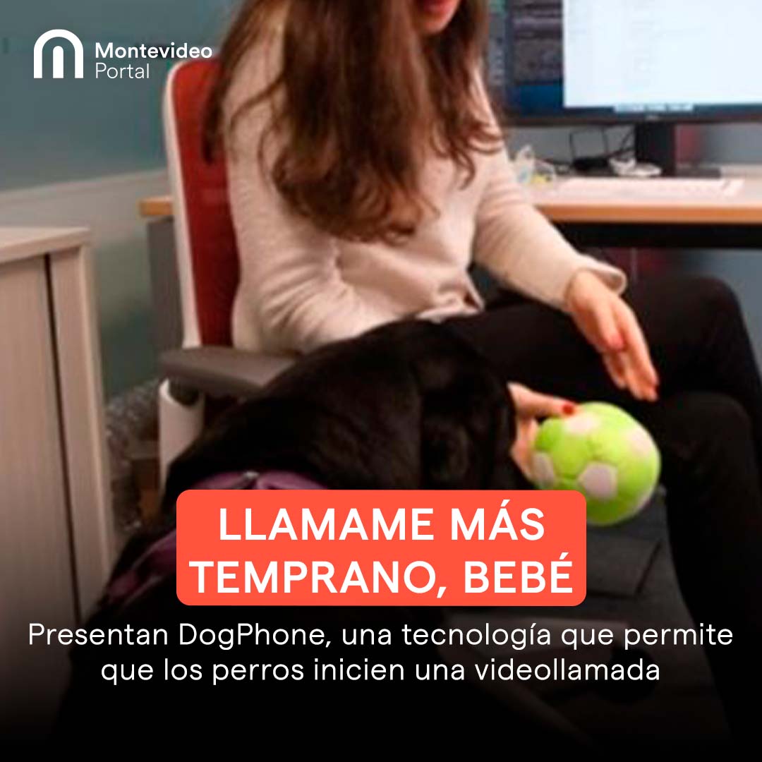 portalmvd's tweet photo. Una investigadora de la Universidad de #Glasgow fabricó un dispositivo inteligente para perros, llamado #DogPhone, que permite que los canes puedan ponerse en contacto con sus dueños por videollamada activando este aparato mediante movimiento. https://t.co/CzGCyceZu2