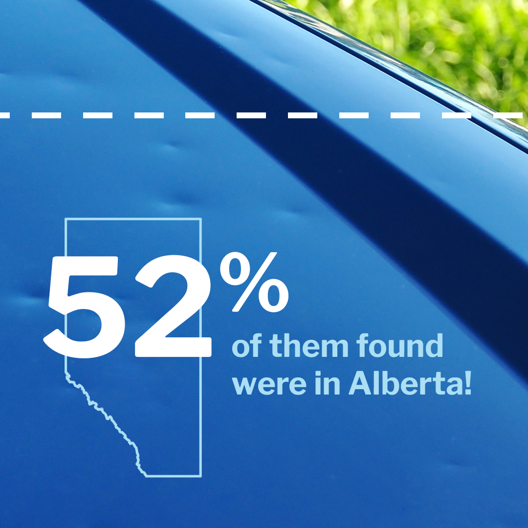 CARFAXca's tweet photo. Welcome to part one of the Year in Rear View!

Ever wondered how much #accident #damage is found each year?🤔
We looked at #lastyear and went through the reports run between Oct 1st, 2020 and Oct 1st, 2021, and found some interesting data points! https://t.co/nhKQVYjFmw
