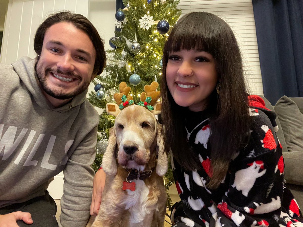 kerrybowen_'s tweet photo. favourite time of year has finally arrived in the bowen/scotting house 🎅🏻❤️ https://t.co/7jYtExXsYm