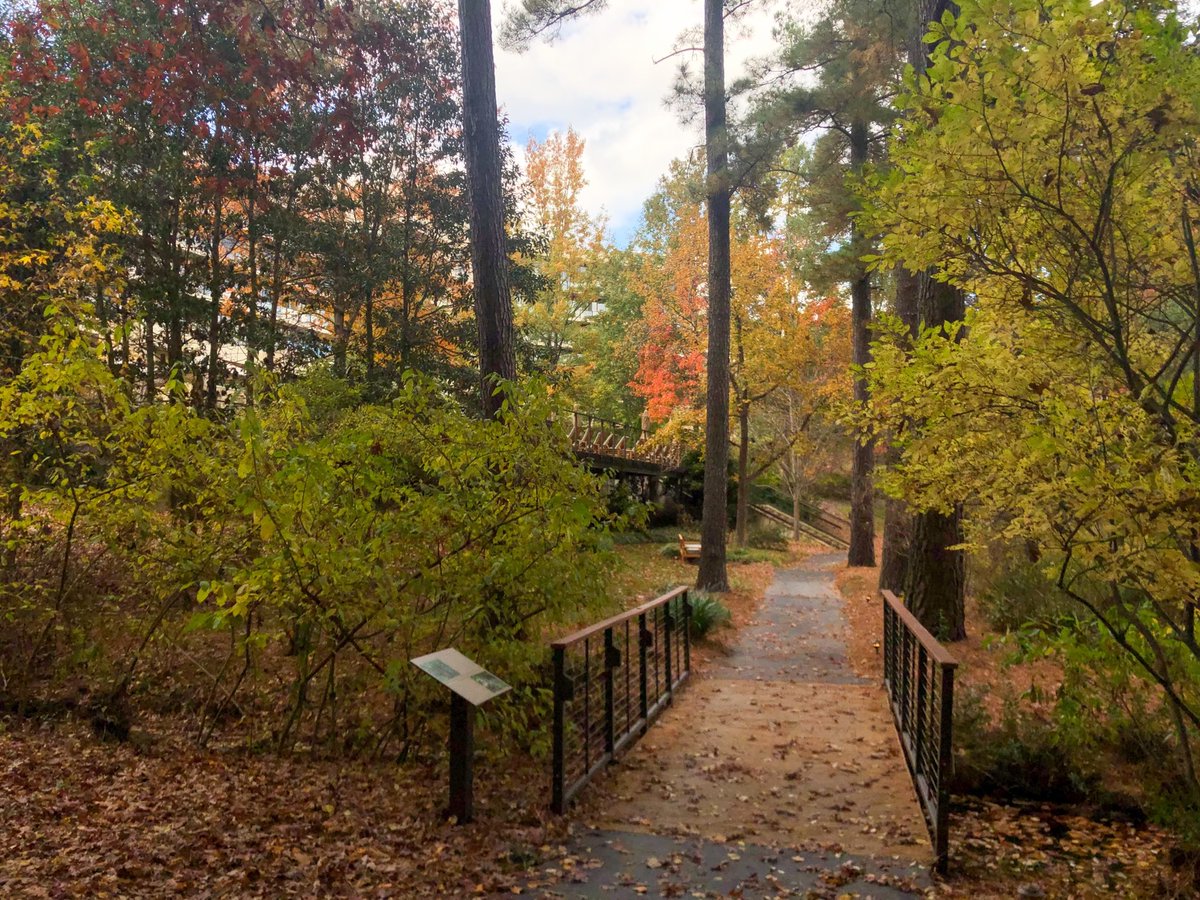 The_Umstead's tweet photo. Our gratitude for the gift of being surrounded by this splendid scenery knows no bounds! What's something you're feeling especially thankful for this week? 🍂⛲️🌾 https://t.co/jxn6cko3Dt