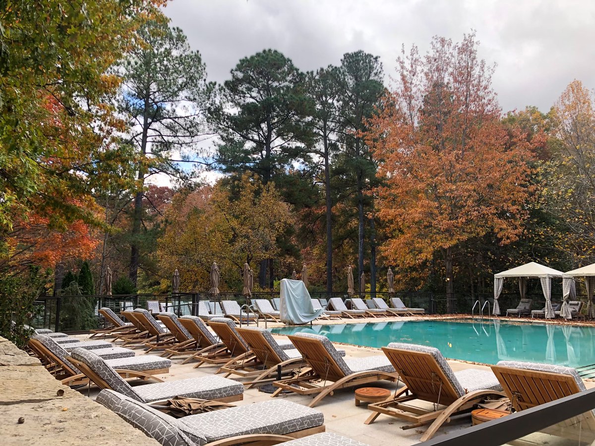 The_Umstead's tweet photo. Our gratitude for the gift of being surrounded by this splendid scenery knows no bounds! What's something you're feeling especially thankful for this week? 🍂⛲️🌾 https://t.co/jxn6cko3Dt