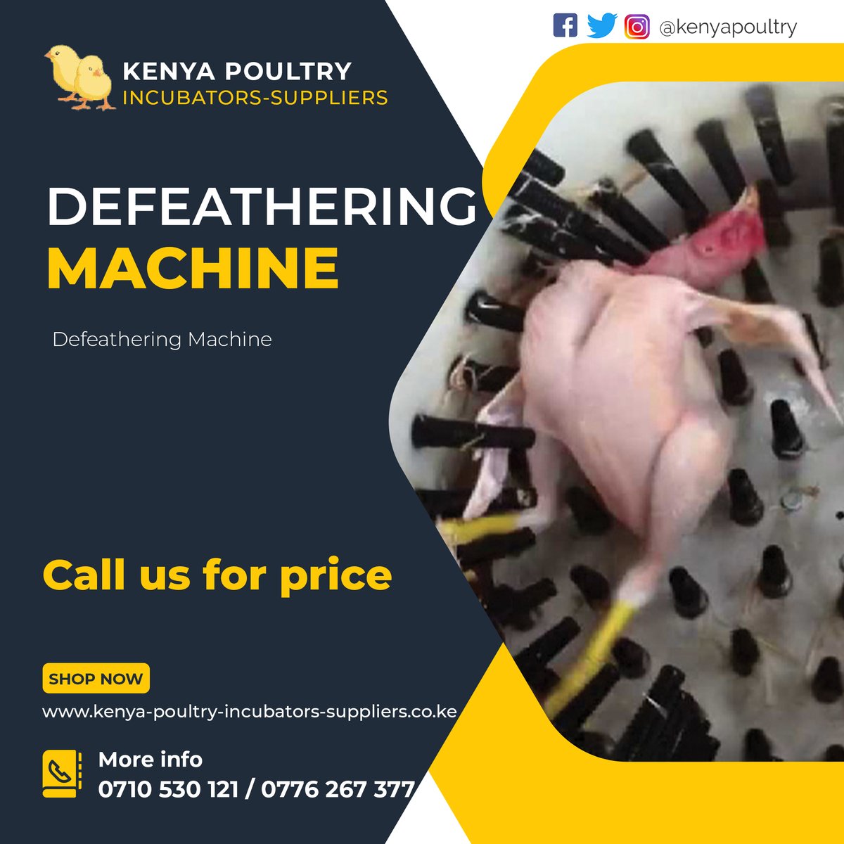 Kenya Poultry Incubators Suppliers 
Call us on 0710 530 121
Dealers In: 
1. Eggs Incubators
2. Cages &amp; Housing
and other poultry items
Mauricio Pochettino USSD  Mauricio Pochettino Khaligraph Jones Sonko