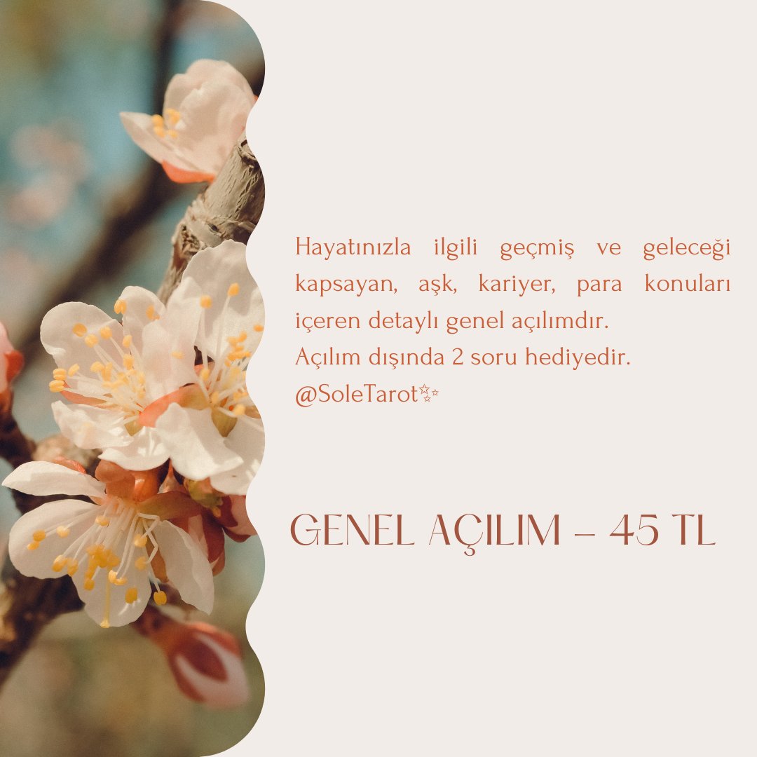 SoleTarot's tweet photo. Fiyat Listemiz✨ https://t.co/RZ21x4TM1m