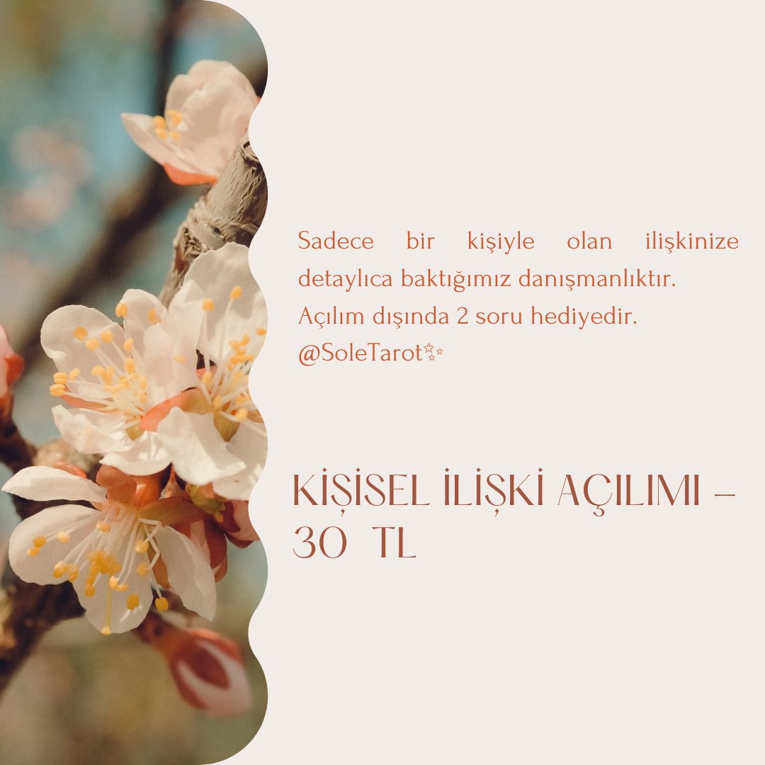 SoleTarot's tweet photo. Fiyat Listemiz✨ https://t.co/RZ21x4TM1m
