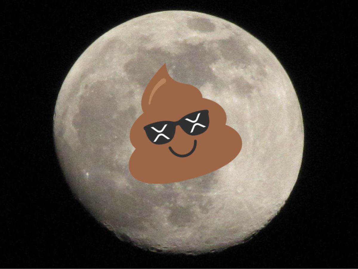 xShitcoin's tweet photo. $SHIT TO THE MOON 🌝 https://t.co/IlB7MxLuF6