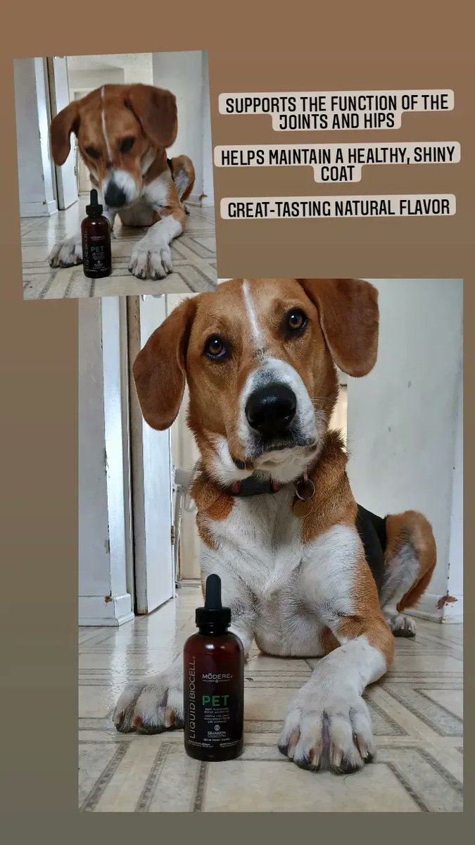 sammy251k's tweet photo. Black Friday!!!
Buy 2 get 1 free!
And a free gift!
https://t.co/CXWtFnxUHB

#dogs #doglife #healthylifestyle #blackfriday #sale #Deals #furbaby #cats #couponcode #yummy #checkitout #pets #babies #BlackNovember #blackfridaydeals #gift #freegift #free #love #healthypet #happypet https://t.co/vFBr4OVfzy