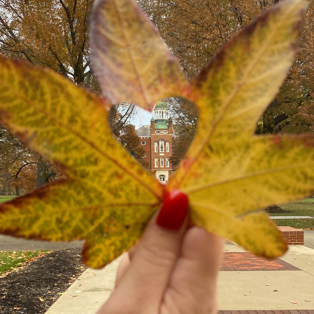 Fall in love with #MountUnion and apply today: bit.ly/3qUdDVq 🍁💜