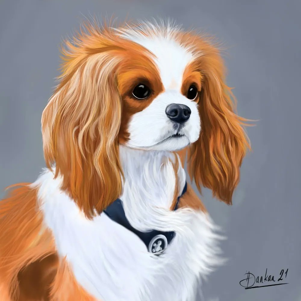 pigment_app's tweet photo. Repost from ASankan in the Pigment Gallery!
Finished Freehand - Cavalier King Charles Spaniel. 🙂
#cavalier #cavalierkingcharlesspaniel #cavaliercommunity #dogsoftwitter #freehand #feature #cavalierlife #cavalierkingcharlesspanielsofinstagram #digitalcoloring #petportraits https://t.co/hUoZsMBkCk