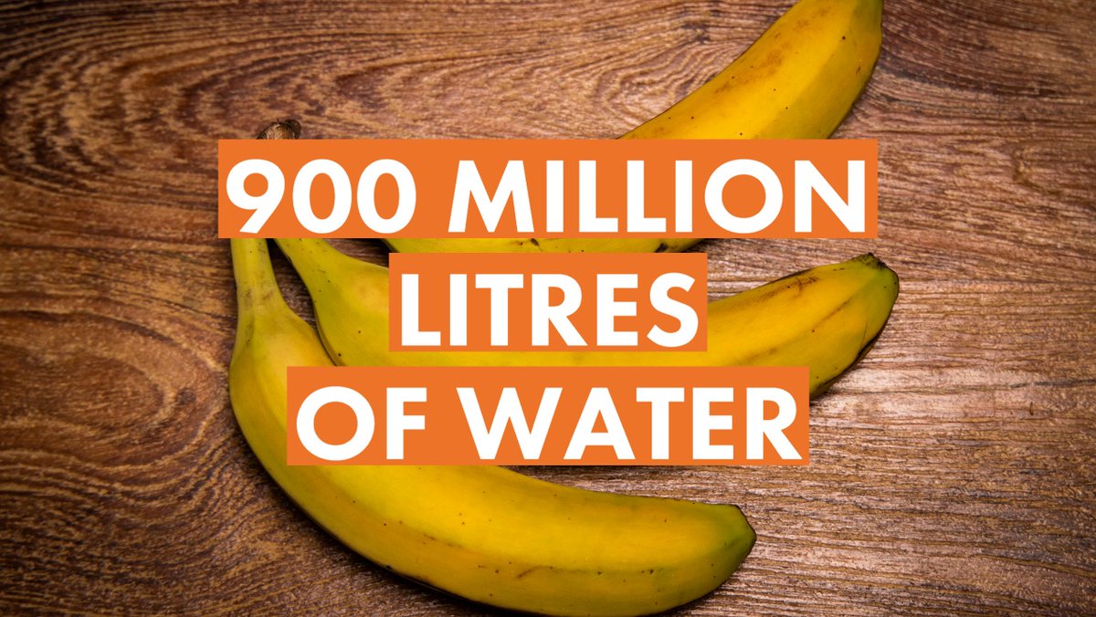 Love Food Hate Waste tweet media