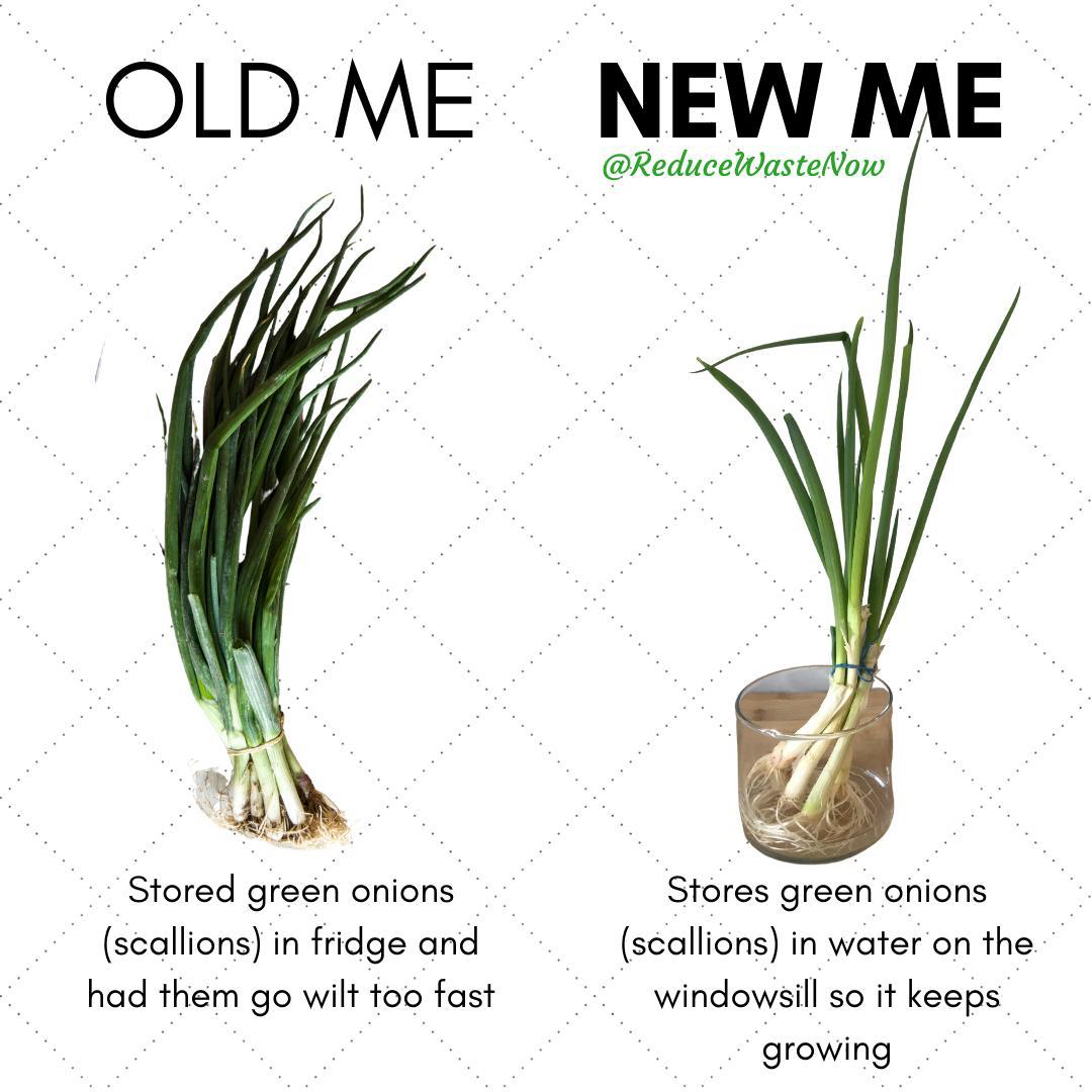 ReduceWasteNow tweet media