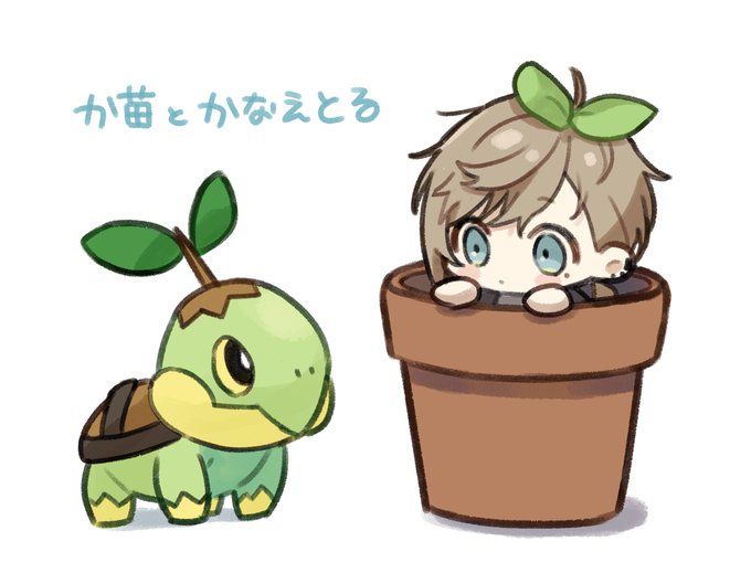 「植木鉢 ポケモン×ポケモン」のTwitter画像/イラスト(新着)｜3ページ目