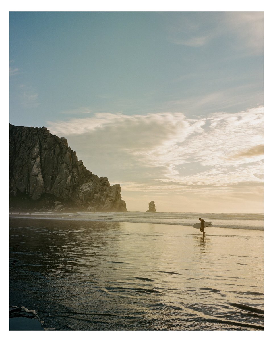 jake tovar tweet media