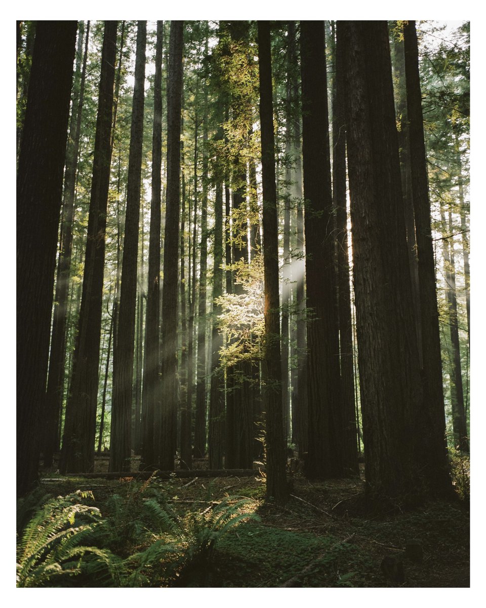 jake tovar tweet media