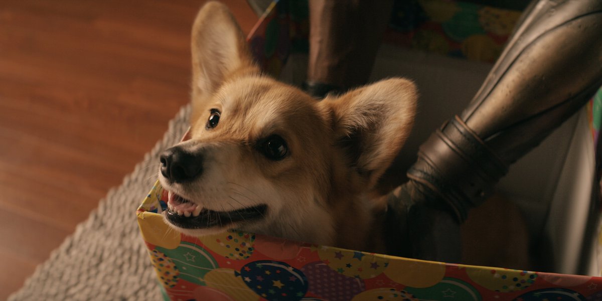 netflix's tweet photo. Asking the universe for my very own Ein this Hanukkah https://t.co/Jk56Ml1bZ8