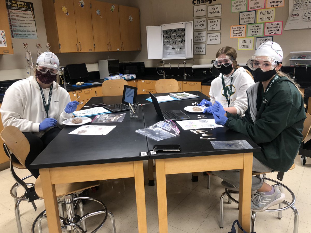 MrsMedlockMHS's tweet photo. HBS students have been โmappingโ the brain and today we finished with the ๐ง dissection! 7/8th period groups!
#PLTW #HBS #weRmedina #MCCCPLTW
PLTW is a collaboration between MCCC and MCS https://t.co/qD6TJaaySF
