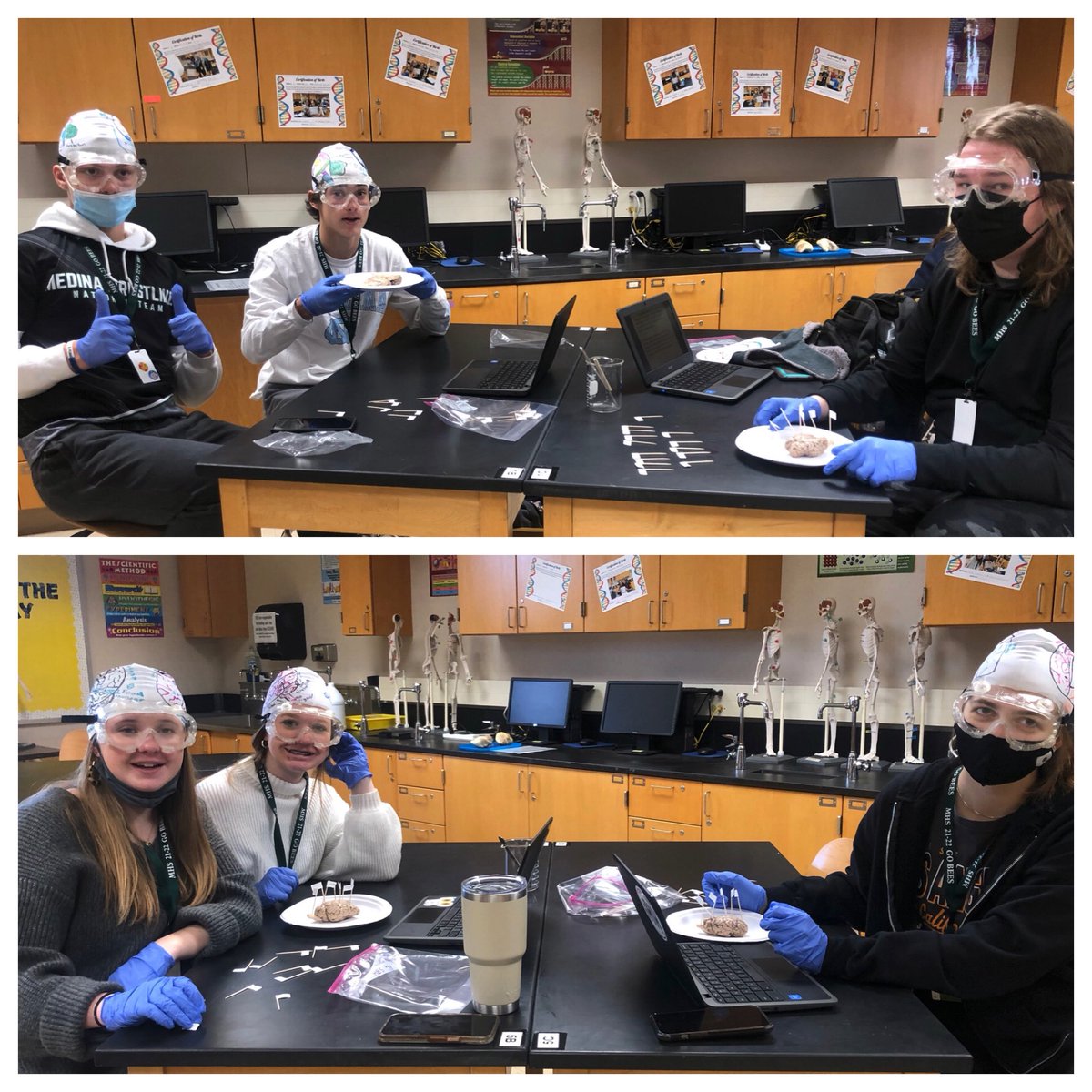 MrsMedlockMHS's tweet photo. HBS students have been โmappingโ the brain and today we finished with the ๐ง dissection! 7/8th period groups!
#PLTW #HBS #weRmedina #MCCCPLTW
PLTW is a collaboration between MCCC and MCS https://t.co/qD6TJaaySF