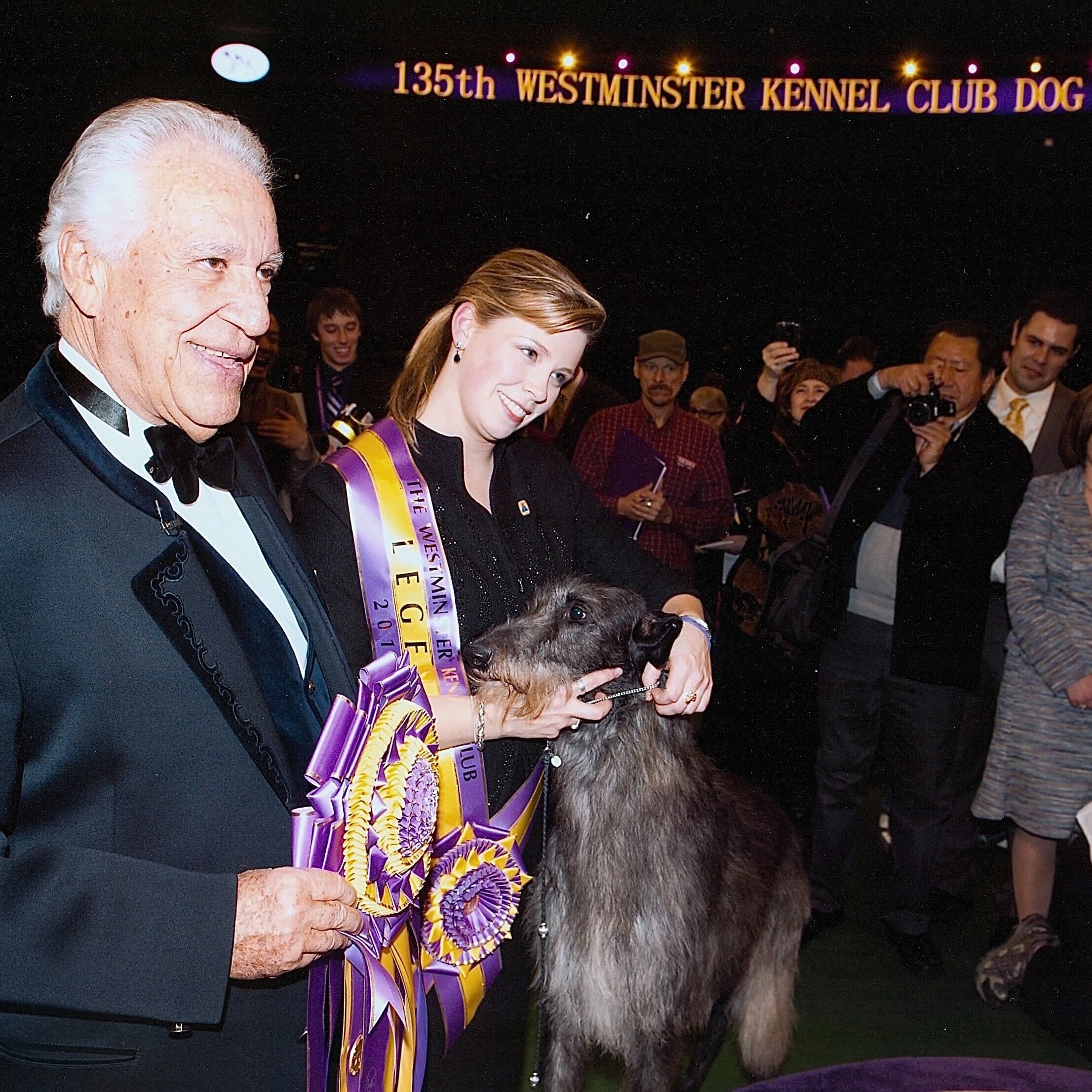 westminster dog show wkcdogs twitter