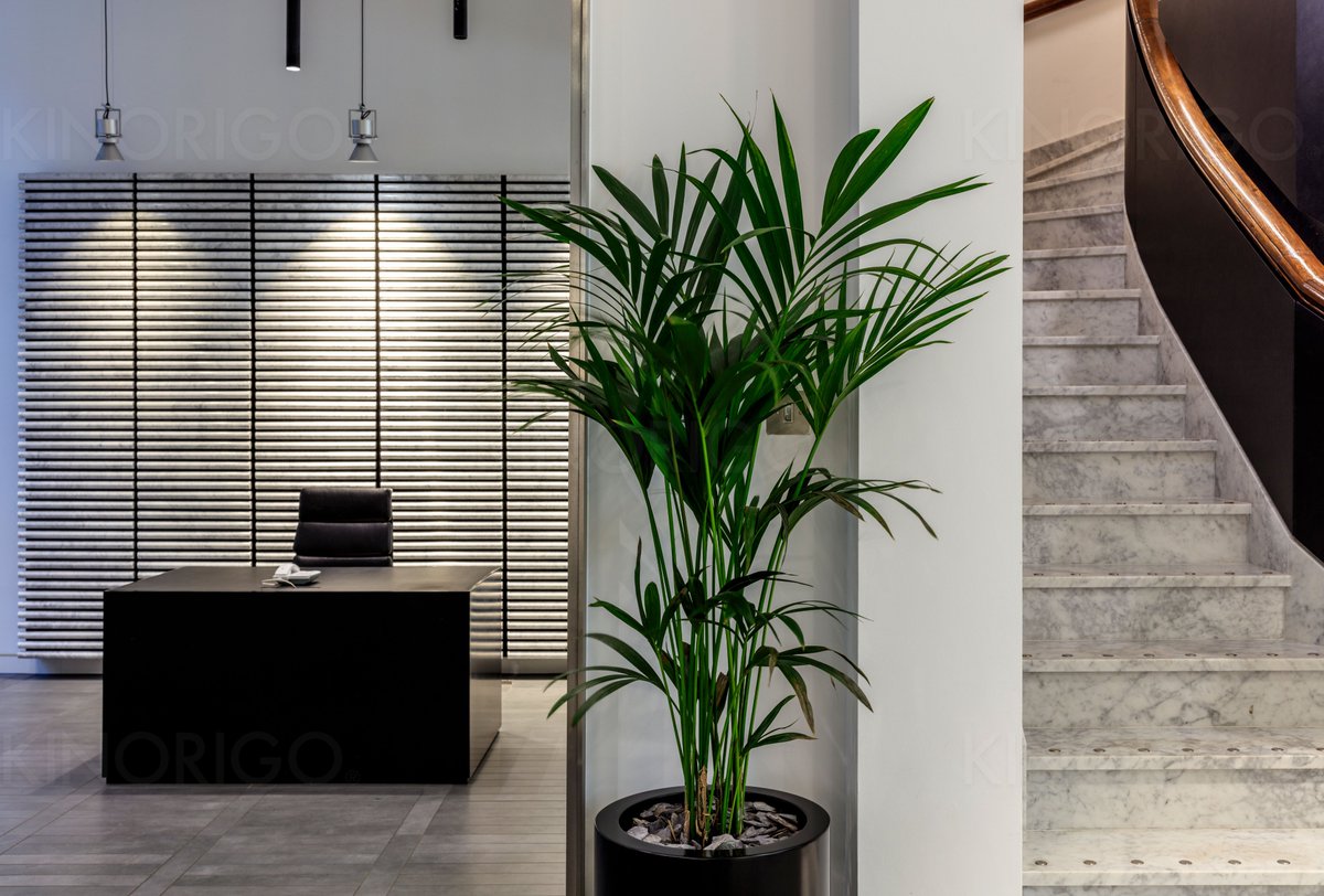 Kinorigo's tweet photo. “Rawness and refinement are not opposite ends of a luxurious spectrum. They are two complementary features with which to populate a luxe environment.”
– Kelly Weartsler https://t.co/UvaQZtZRx8