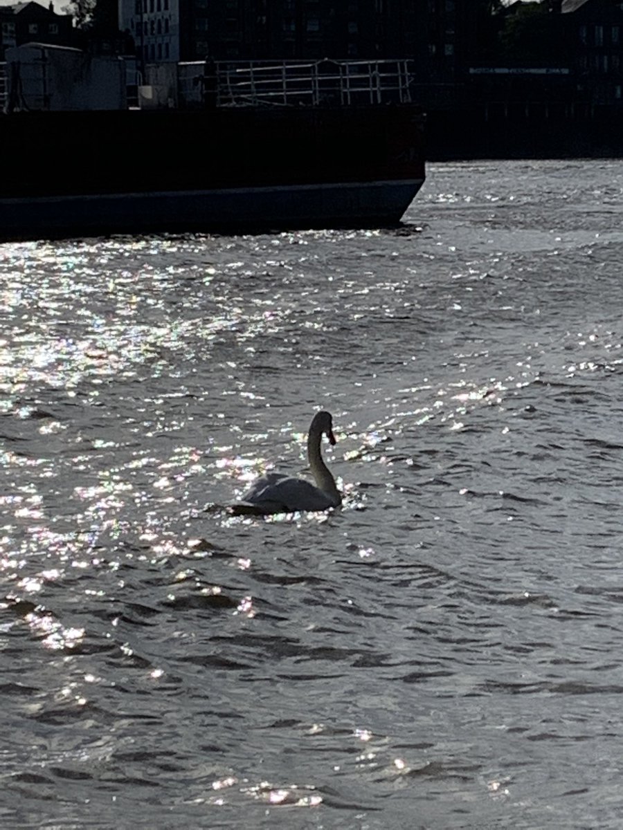 rksingh97263's tweet image. No matter how bad people may seem, they possess at least one virtue.