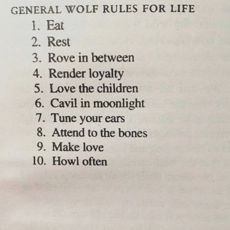 figure8labs's tweet photo. #wolfrules https://t.co/S7cLonv1OD