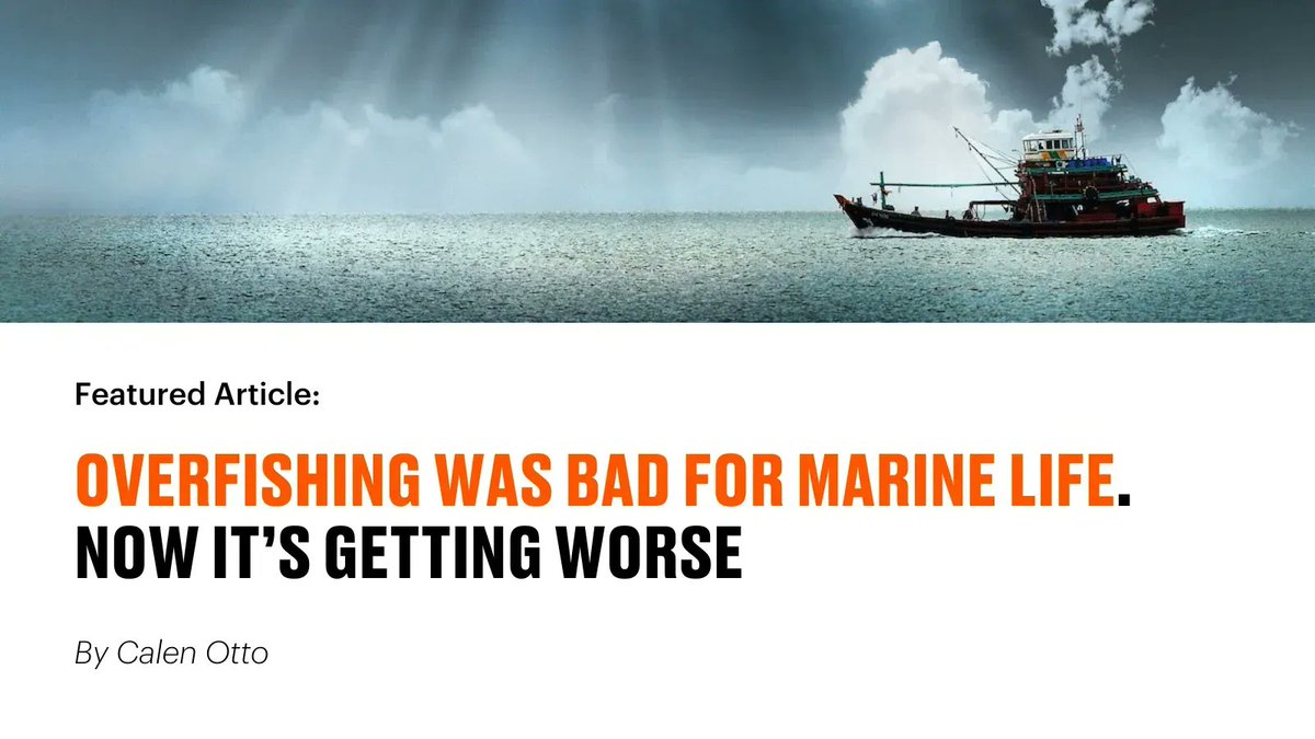 Sentient_Media's tweet photo. Consumers are increasingly aware of where their foods come from. Many are now turning the spotlight on the #fishing industry.

@Unruly_Travel reports on the need to raise awareness around destructive fishing practices such as #overfishing.
https://t.co/N4crO5ycZa https://t.co/sCxoLaYtXk