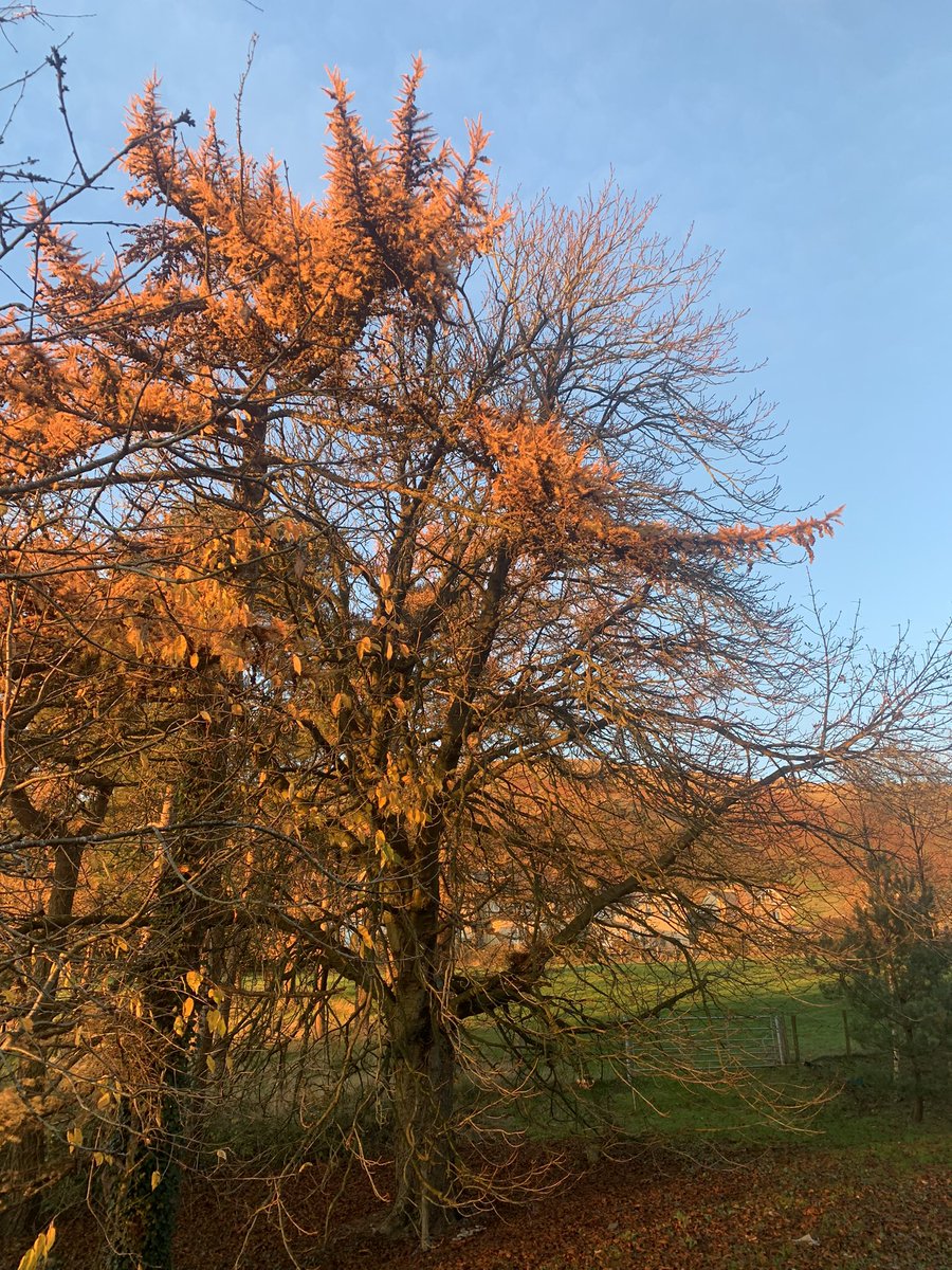 Great visit to <a href="/SedberghSchool/">Sedbergh School</a> this afternoon. It’s a long way away from home but worth it for the incredible response I received from the pupils and for the breathtaking views from the school. Even got to watch the iconic <a href="/TheBrownSSFC/">Sedbergh School FC</a> train for a few minutes. Some place 🏉