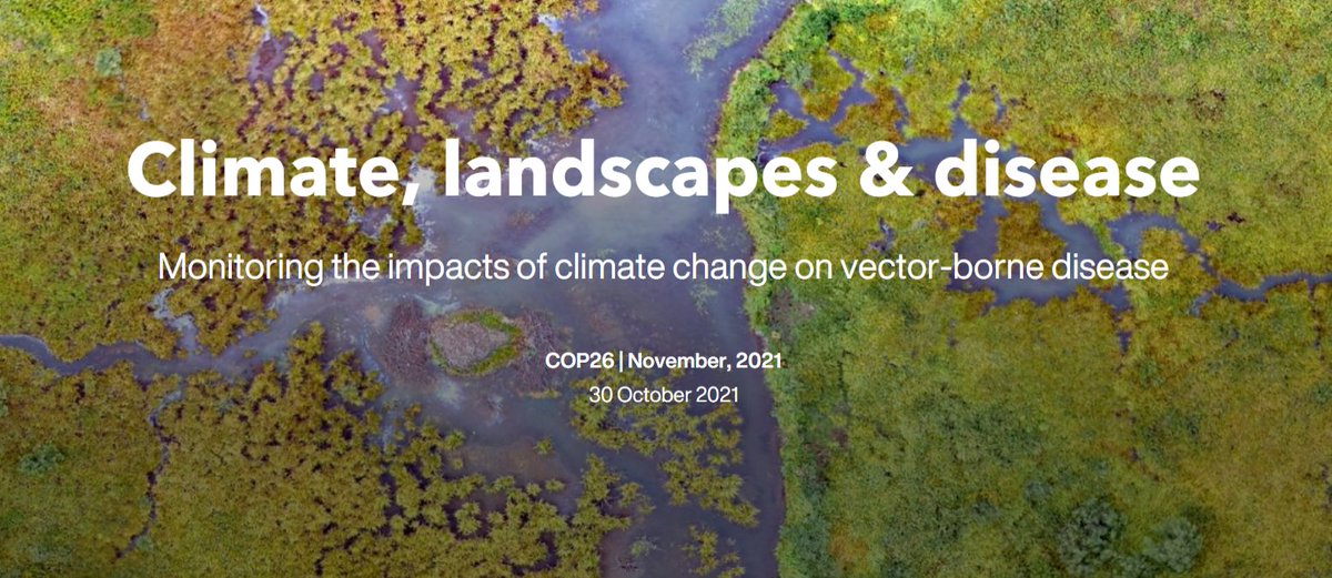 drheatherferg's tweet image. For recent #COP26GreenZone presentation, colleagues @LSHTM_malaria &amp;amp; @VectorsGlasgow made this StoryMap highlighting how we are working with local &amp;amp; intl partners to understand impact of environment &amp;amp; land use change on vector-borne diseases⬇️ #UofGCOP26 storymaps.arcgis.com/stories/fd969f…
