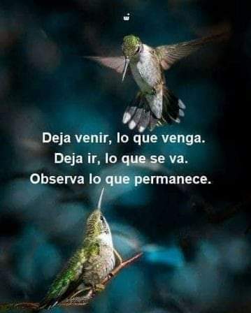 SotoRubila's tweet photo. #CartelitoDeSol
#solcito
#ProfeSol 

🌼 🌸 Cuando elevas tu nivel vibratorio no tienes que alejar a nadie...
Lo que no está en tu frecuencia, se aleja solito🌼🌸
S 🌸 Ledad ® https://t.co/Wgm9QMw4uH