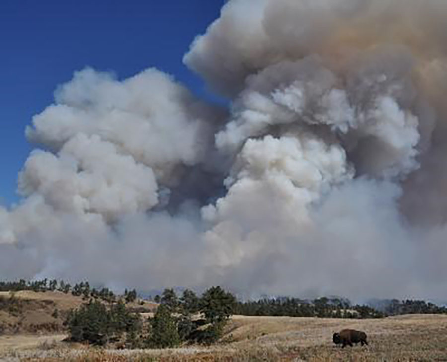 FireAviationNPS's tweet photo. Fire was integral to many Indigenous peoples’ way of life for many millenia. Read about their historical use of fire, how Indigenous fire practices shape our land: https://t.co/AkSxzAC34e     #NativeAmericanHeritage #NPSFire https://t.co/tpz2kP0bn3