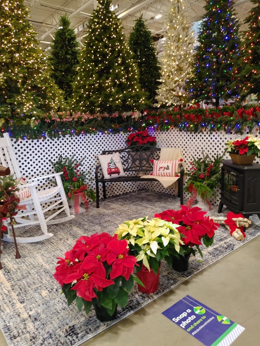Scott OToole (@scottotoole10) on Twitter photo Come to Lowe's of Culpeper to take your Christmas pictures in this beautiful setting! <a href="/BlueBoxR1/">@BlueBoxR1</a> <a href="/shuell_bill/">Bill Shuell</a> <a href="/BenitoKomadina/">Benito.Komadina@Lowes</a> <a href="/LBishPlants/">Lora Bishop</a> Come to Lowe's of Culpeper to take your Christmas pictures in this beautiful setting! <a href="/BlueBoxR1/">@BlueBoxR1</a> <a href="/shuell_bill/">Bill Shuell</a> <a href="/BenitoKomadina/">Benito.Komadina@Lowes</a> <a href="/LBishPlants/">Lora Bishop</a>