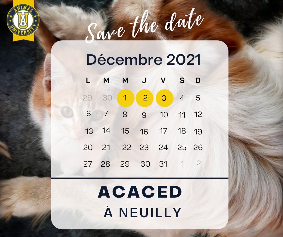 AnimalUniv's tweet photo. Dernière ligne droite pour vous inscrire à notre formation ACACED chiens et chats à Neuilly les 1, 2 et 3 décembre 2021 !

N’hésitez pas à nous contacter pour toutes demandes de précisions : contact@animal-university.fr
 
#animaluniversity #formations #centredeformation #acaced https://t.co/AEEf73jf7P