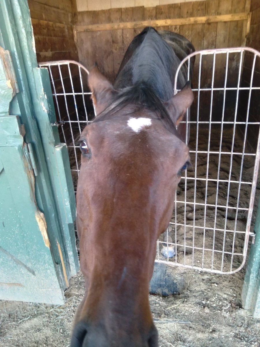 jone_loyd's tweet image. #Attie #peppermintfiend