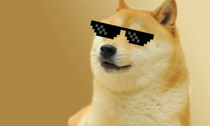 The Solana DogeCoin tweet media