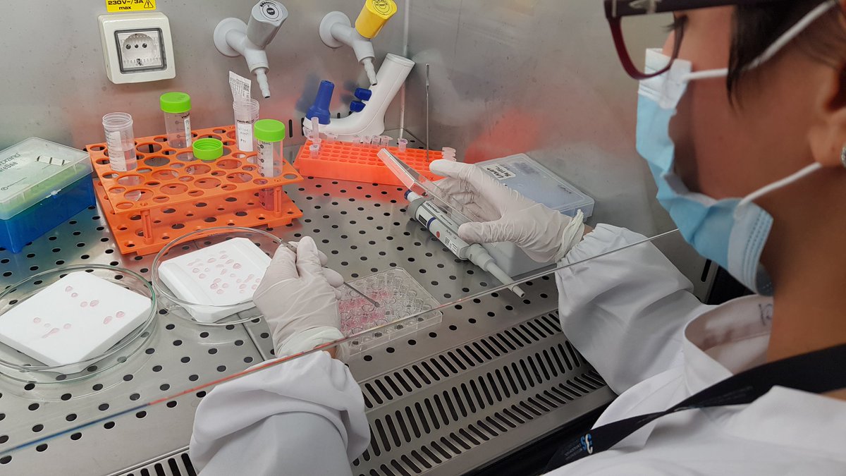 Bemic_BLab's tweet photo. Daily Life @Bemic_BLab  _ @MarianaINeves is a PhD student working on cell-laden alginate hydrogels as artificial 3D microenvironments👩🏻‍🏫 https://t.co/GXRM0SadyM