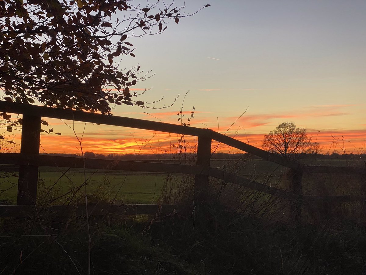 feel_paul's tweet photo. #rural @RamblersGB around our #neighbourhood at #sunset #redsky… #frostyweather & #winter is on its way at #HighCatton @sbib_bloom #itsgrimupnorth #keepitcountry in #godsowncounty @East_Riding of #Yorkshire https://t.co/ngT3z0TEHc