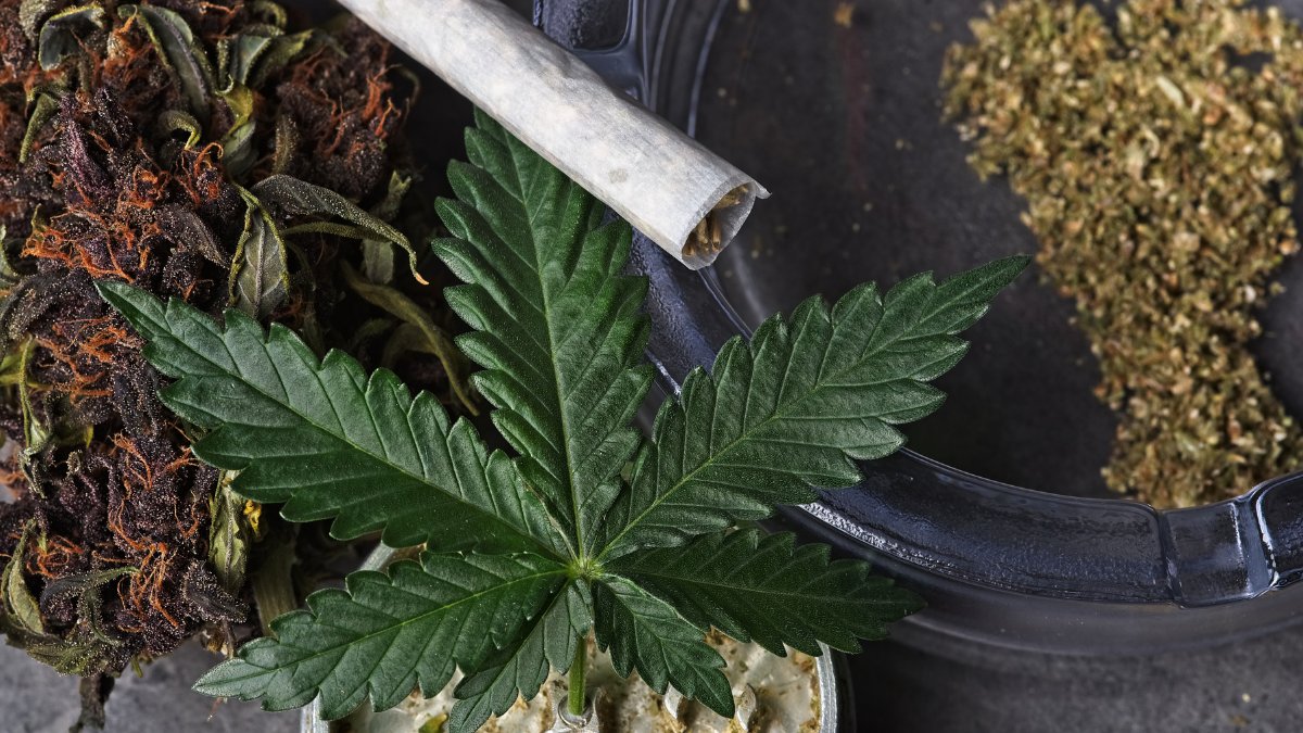 CBDLearningBase's tweet image. Calls to open up Cannabis dispensaries sooner following fentanyl overdoses.  Reports have shown 39 cases were associated with Fentanyl-laced Cannabis.

bit.ly/3cAED43
#CannabisCommunity #cannabisculture #CBD #cannabisindustry